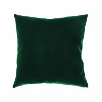 CUSHION PARROT GREEN - Imagen 3