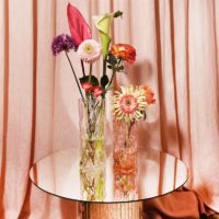 Vase trunk clear - Imagen 3