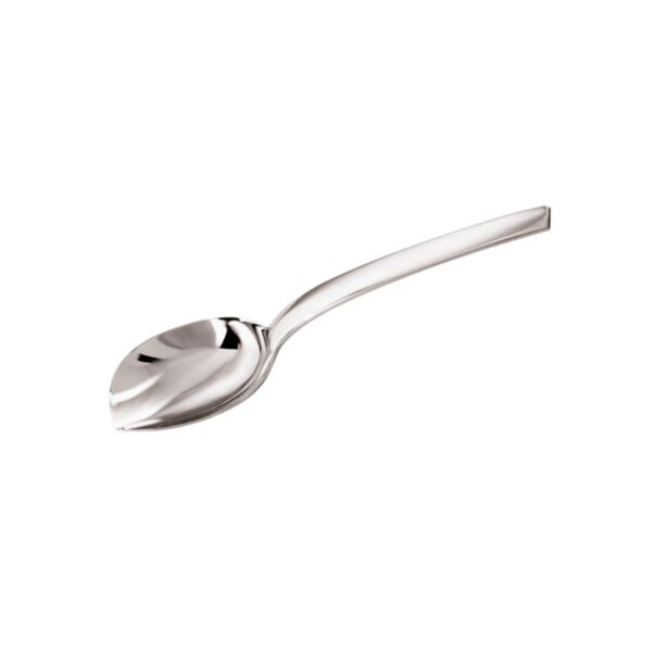 Sugar/Cheese Spoon