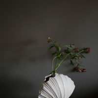Vase Shell - Imagen 2