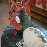 Vase Shell - Imagen 6
