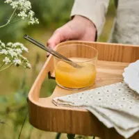 Hanna Tray - Imagen 3
