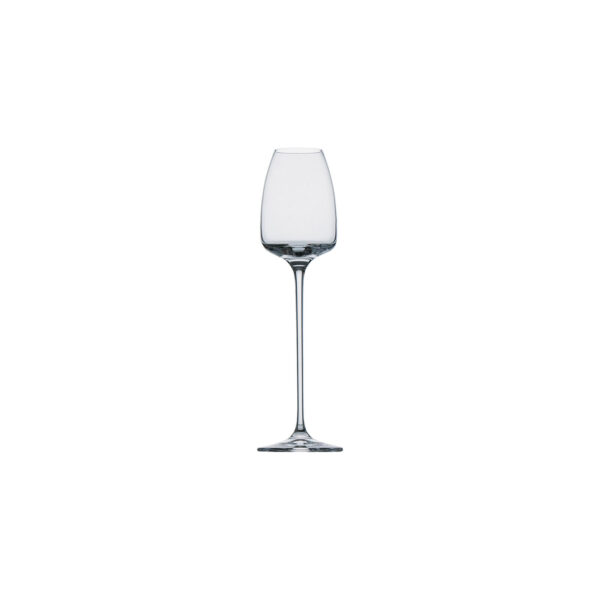 TAC o2 Glatt Grappa glass Conical Crystal Set of 4