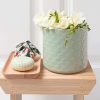 CHITA VERBENA 150G SOAP - Imagen 4