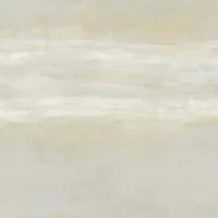Serene Reflection