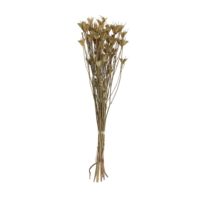 Dried Natural Love in a Mist Bunch