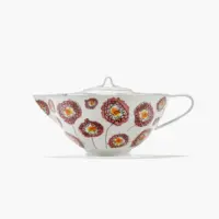 Tea pot Anemone Milk Midnight Flowers