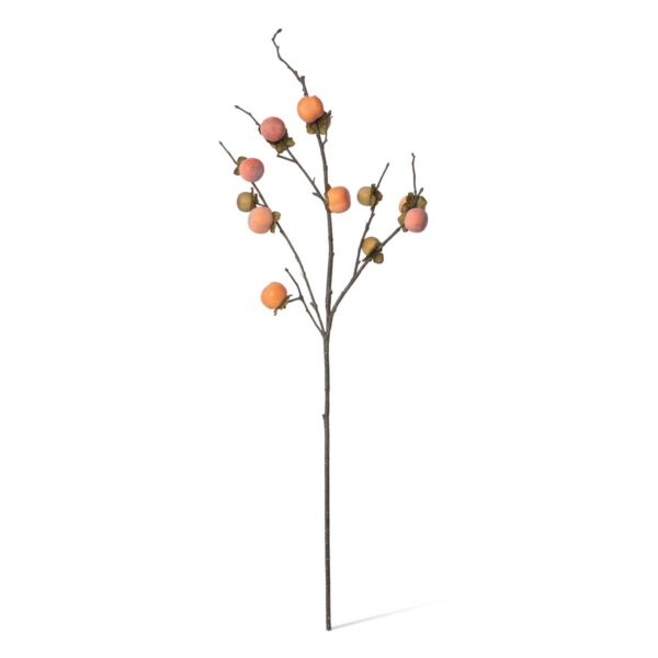 Persimmon Branch