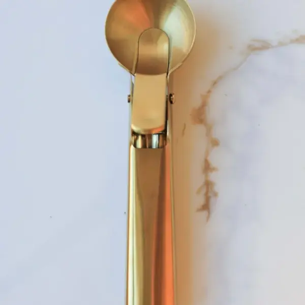 Auric Gold Light Stainless Steel Ice Cream