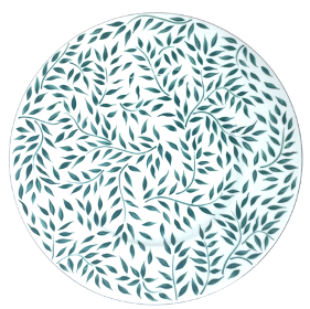 Olivier Vert Filet Vert - Nymphea 32CM