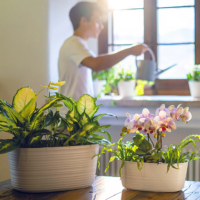 MULTIPLE PLANT POT HOLDER TIERRA - S - Imagen 2