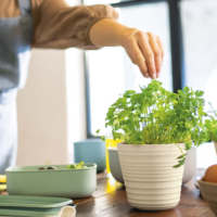SINGLE PLANT POT HOLDER TIERRA - Imagen 2