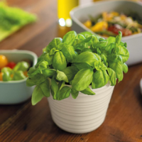 SINGLE PLANT POT HOLDER TIERRA - Imagen 3