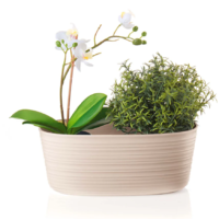 MULTIPLE PLANT POT HOLDER TIERRA - S - Imagen 3