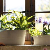 MULTIPLE PLANT POT HOLDER TIERRA - S - Imagen 4
