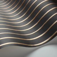 College Stripe - Imagen 2