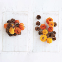 Velvet Pumpkins and Pinecones in Bag - Imagen 2
