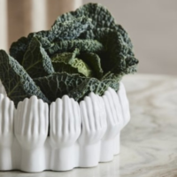 ANISE BOWL WHITE - Imagen 2