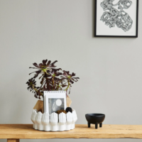 ANISE BOWL WHITE - Imagen 3
