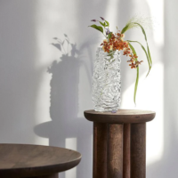 MAIO VASE CLEAR - Imagen 2