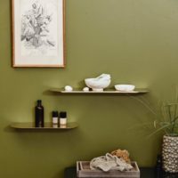 FANOE GOLDEN SHELF S - Imagen 2