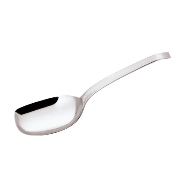 Rice Spoon