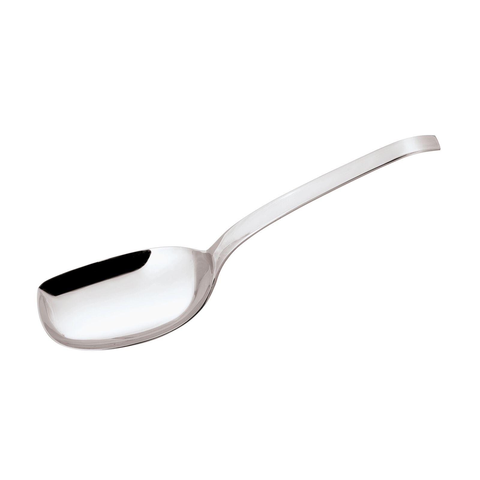 Rice Spoon