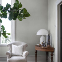 SAGE GREEN - Imagen 2