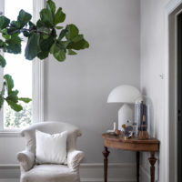 SILVER CLOUD - Imagen 2
