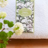 VERBENA SACHET - Imagen 2