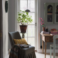 VINTERGRÖNA - Imagen 3