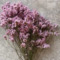 CONFETTI PINK