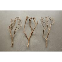 TEA TREE BRANCH - Imagen 2