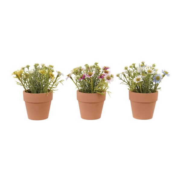 Faux Cosmos in Paper Mache Pot, Pink, Yellow & Blue, 3 Colors
