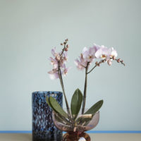 Vase, glass, blue/bordeaux Small - Imagen 2