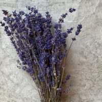 Lavender  - Imagen 2